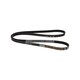 MULTIRIEM DAYCO 4PK1389/14.24 TGL